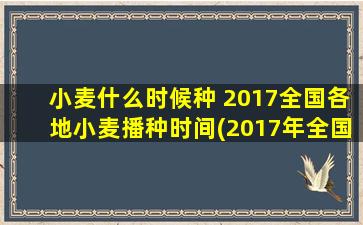 小麦什么时候种 2017全国各地小麦播种时间(2017年全国小麦播种时间表及适宜种植的地区)